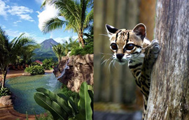 Costa Rica is a wildlife and botanical paradise